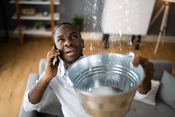 Best Basement water damage restoration  in East Ridge, TN