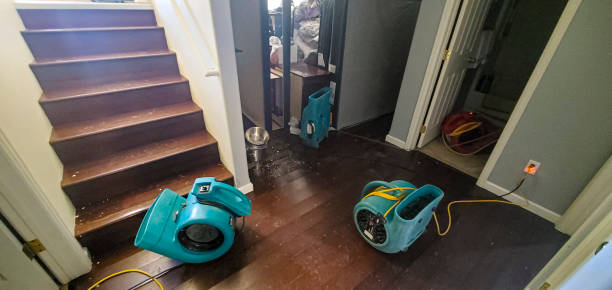 Best Professional water damage repair  in East Ridge, TN