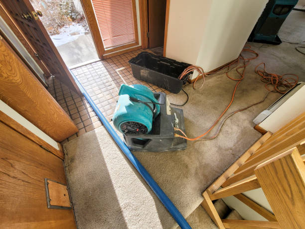 Best Water damage contractors near me  in East Ridge, TN