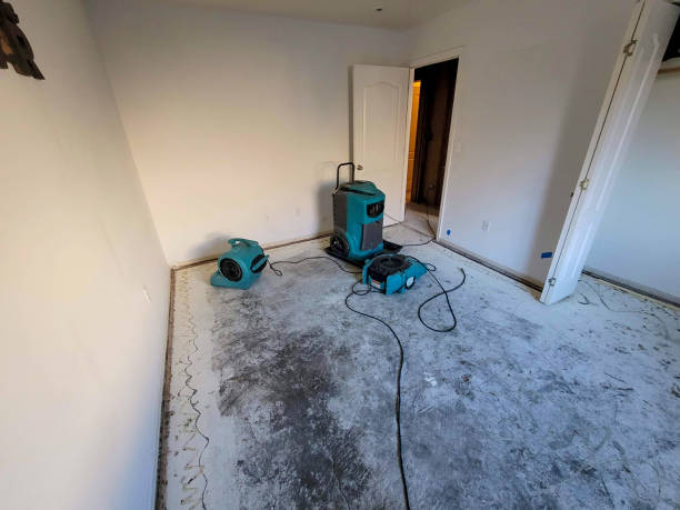 Best 24-hour water damage restoration  in East Ridge, TN
