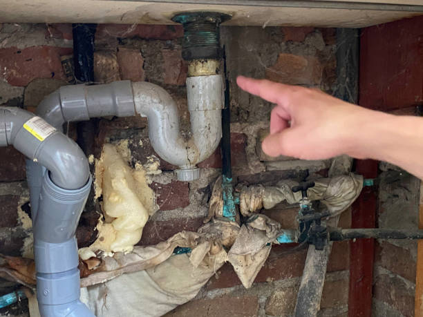 Best Water damage contractors near me  in East Ridge, TN